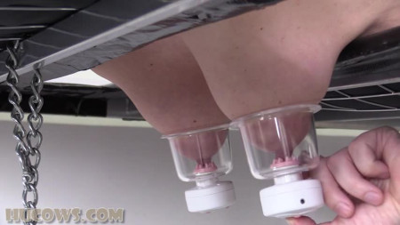 Image Of HuCows 22 01 15 Olga Sensitive Nipples On The Red Cow Milker XXX 480p MP4-XXX