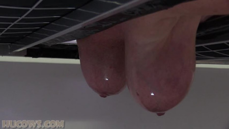 Image Of HuCows 22 04 16 Manuela On The Milking Bed XXX 480p MP4-XXX