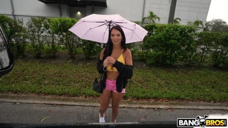 Image Of BangBus 23 02 22 Alexa Payne XXX 720p MP4-XXX