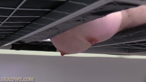 Image Of HuCows 23 12 30 Alexis Luna Milking Bed XXX 1080p MP4-FETiSH [XC]