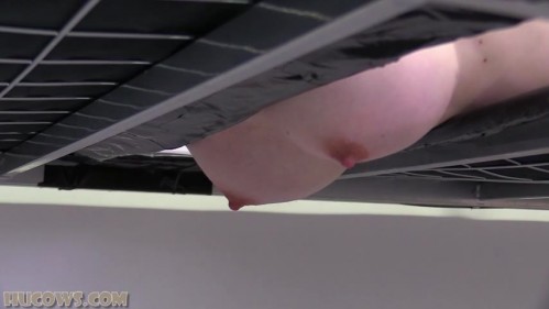 Image Of HuCows 23 12 30 Alexis Luna Milking Bed XXX 480p MP4-XXX [XC]