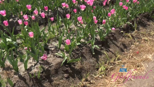 Image Of ATKGirlfriends 24 03 27 Zoey Jpeg Farm Date 1 XXX 2160p MP4-WRB [XC]