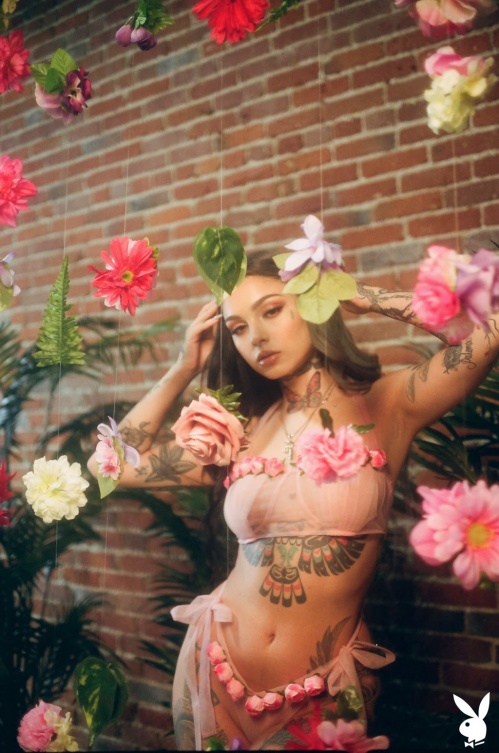 Image Of PlayboyPlus com 20 06 24 Taylor White Wild Wallflower XXX iMAGESET-LEWD [XC]