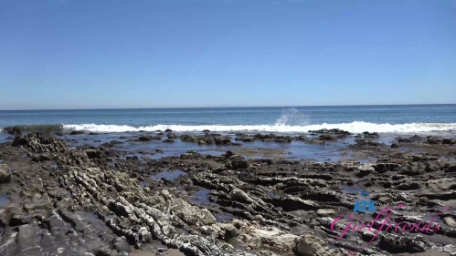 Image Of ATKGirlfriends 24 04 26 Ava Davis Paradise Cove 1 XXX 2160p MP4-WRB [XC]