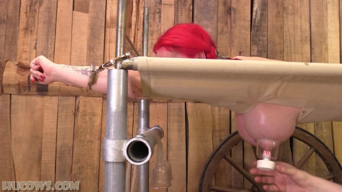 Image Of HuCows 24 04 20 Jasmine James Back In The Barn XXX 480p MP4-XXX [XC]