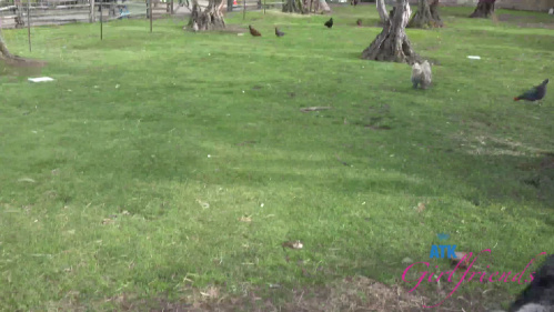 Image Of ATKGirlfriends 24 05 10 Aubry Babcock Norcal 7 XXX 2160p MP4-WRB [XC]
