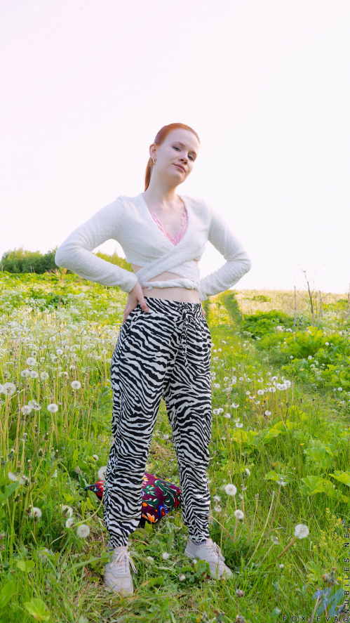 Image Of Nubiles net 24 04 04 Fox Eva Just What I Needed XXX IMAGESET-FuGLi [XC]