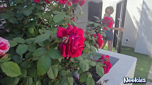 Image Of NookiesOriginals 24 05 04 Sydney Paige XXX 1080p MP4-WRB [XC]