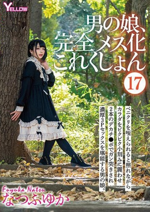 Image Of Cross-Dressers Totally Transformed Into Bitches Collection 17 HERY-119 (Yellow [TS] [cen] 2022 WEB-DL 1080p