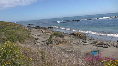 Image Of ATKGirlfriends 24 07 11 Serena Hill Norcal 3 XXX 1080p MP4-WRB [XC]