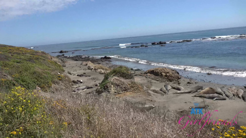 Image Of ATKGirlfriends 24 07 11 Serena Hill Norcal 3 XXX 2160p MP4-WRB [XC]