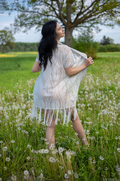 Image Of MetArt com 24 08 01 Sasha Jane Dandelions XXX IMAGESET-FuGLi [XC]