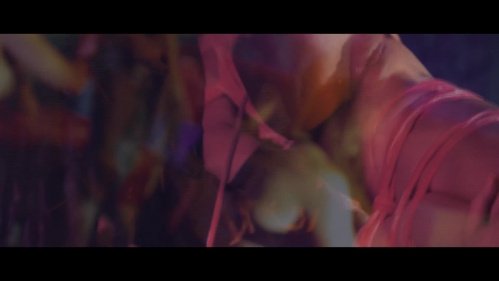 Image Of Z-Filmz 23 08 25 Anuskatzz Sugar XXX 1080p MP4-FETiSH [XC]
