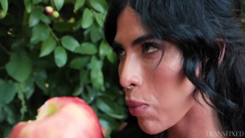Image Of Transfixed - Avery Lust - Tasting The Forbidden Fruit (30.11.2024)