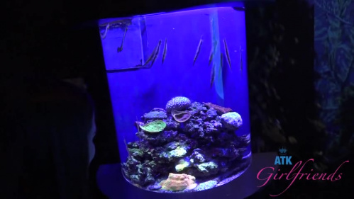 Image Of ATKGirlfriends 25 02 06 Violet Viper Aquarium 1 XXX 480p MP4-XXX [XC]