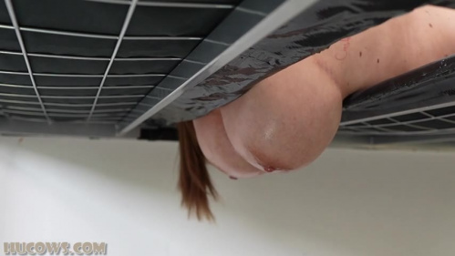 Image Of HuCows 25 03 08 Jada Sparks Milking Bed XXX 480p MP4-XXX [XC]