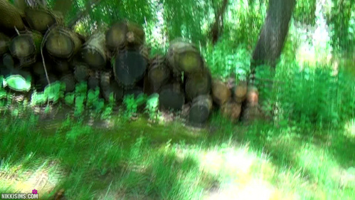 Image Of NikkiSims 20 01 26 Woods Walk Full XXX 1080p MP4-LEWD [XC]