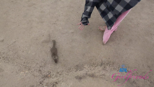Image Of ATKGirlfriends 25 05 17 Nicole Nichols Norcal 3 XXX 2160p MP4-WRB [XC]