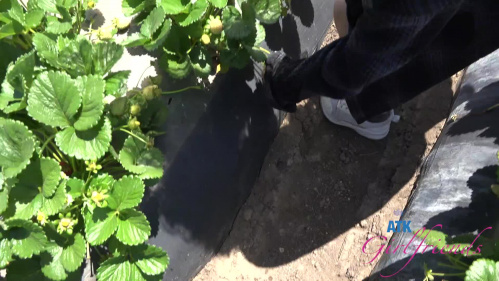 Image Of ATKGirlfriends 25 05 26 Selina Imai Farm Date 1 XXX 1080p MP4-WRB [XC]
