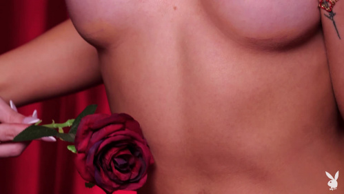 Image Of PlayboyPlus 25 06 09 Alix Berkly Send Me Roses XXX 1080p MP4-WRB [XC]