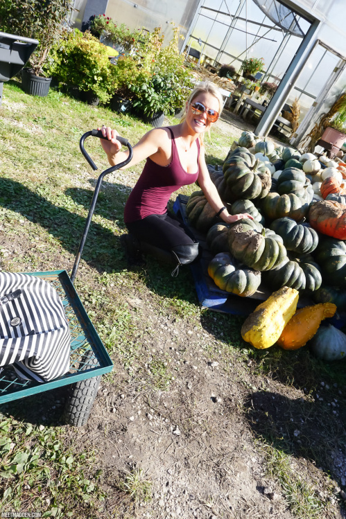 Image Of MeetMadden com 19 10 11 Pumpkins XXX iMAGESET-LEWD [XC]