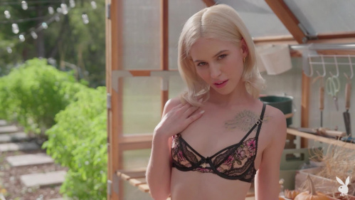 Image Of PlayboyPlus 25 06 22 Summer Solstice 2025 XXX 1080p MP4-WRB [XC]