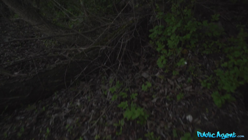 Image Of PublicAgent 25 08 05 Megan Love XXX 1080p MP4-WRB [XC]