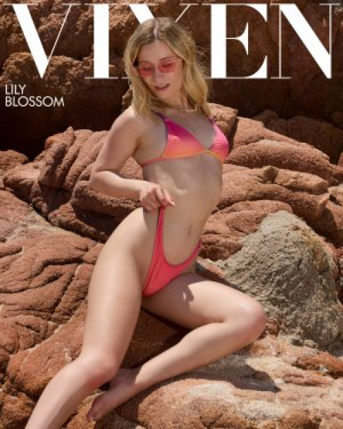 Image Of Vixen - Lily Blossom - Blonde Babe Has Intense Holiday Sex With Stranger (10.08.2025)