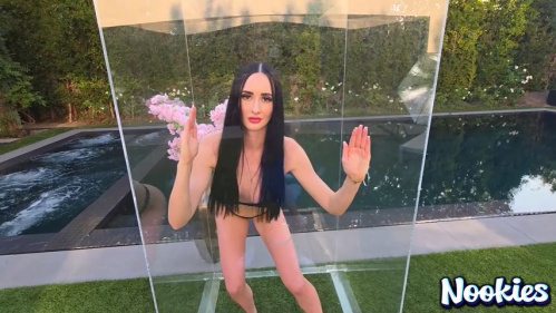 Image Of Nookies - Violet Voss - Sexbot 3 Dom Programming (18.08.2025)