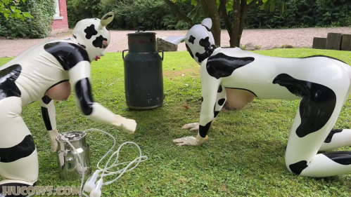 Image Of HuCows 25 09 06 Anc1lla And Miss Fetilicious Latex Hucows Outdoors XXX 1080p MP4-FETiSH [XC]
