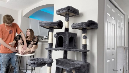 Image Of OnlyFans - Sarah Rhyder - Fucked On Top Of The Chair