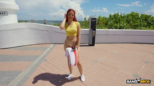 Image Of BangBus - Archer Ali - Vacation Dick (01.10.2025)