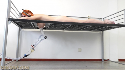 Image Of HuCows 25 10 04 Melodie The Wrong Building XXX 1080p MP4-FETiSH [XC]