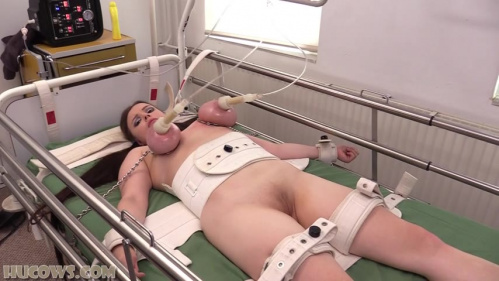Image Of HuCows 25 11 29 Nina Nightbloom Medical Assessment XXX 480p MP4-XXX [XC]