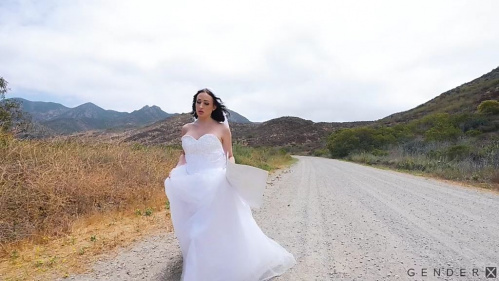 Image Of GenderXFilms - Haven Rose - Transsexual Hitchhikers 5 (20.11.2025)