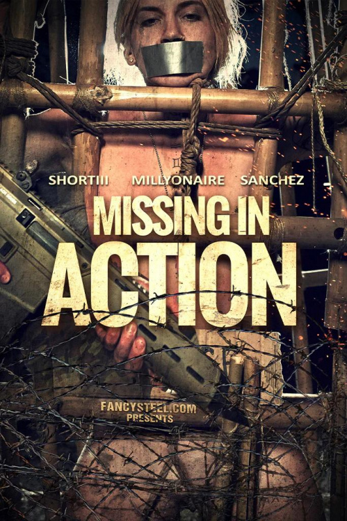 Image Of Missing In Action (James Grey, Fancysteel) 2024 WEB-DL 2160p