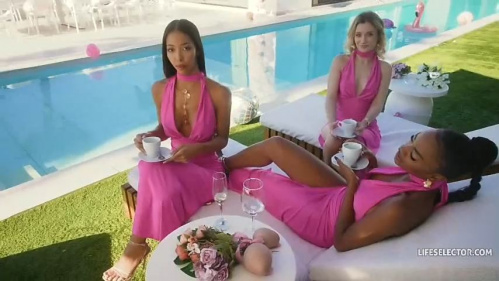 Image Of LifeSelector - Lia Lin, Lily Blossom, Malia Lenoir - The Wedding Crasher - Uninvited, Unstoppable