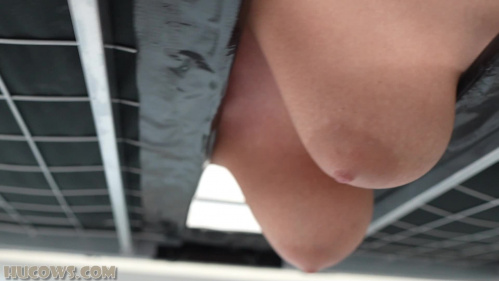 Image Of HuCows 26 01 03 Darina Udder Stretching XXX 1080p MP4-FETiSH [XC]