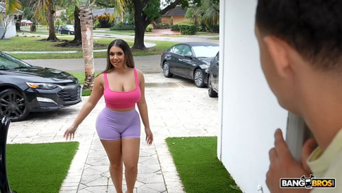 Image Of AssParade - Gigi Lysette - Big Booty Neighbor (19.01.2026)