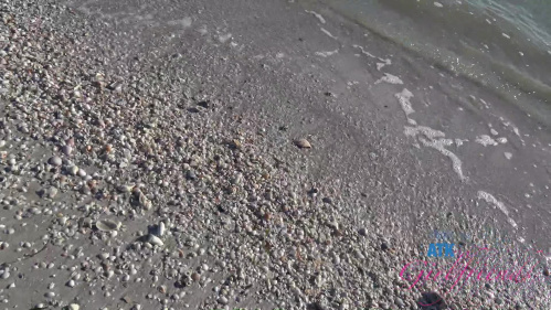 Image Of ATKGirlfriends 26 01 31 Nicole Nichols Sarasota 5 XXX 1080p MP4-WRB [XC]