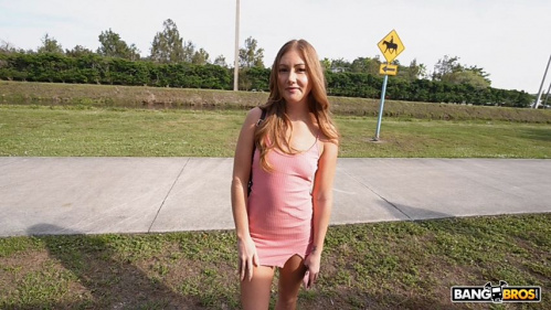Image Of BangBus - Kimmie Haze - The Carpet matches the Drapes (04.02.2026)
