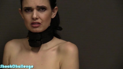 Image Of ShockChallenge 21 03 27 Yasmine Double Shock Collar XXX 480p MP4-XXX [XC]