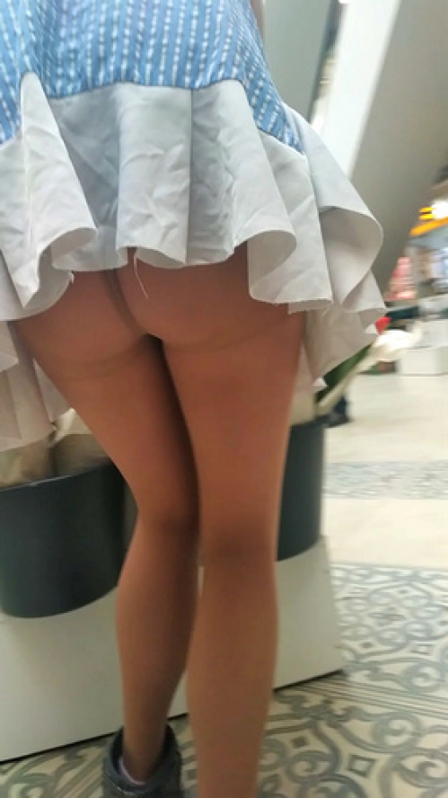 Image Of MegaPACK - What's Under Girls' Skirts 44 videos PART 2