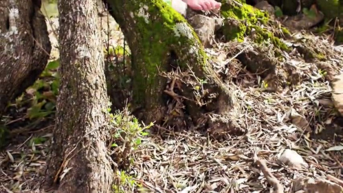 Image Of Watch4Beauty 26 03 01 Wikki Kee In The Dense Forest Backstage XXX 480p MP4-XXX [XC]