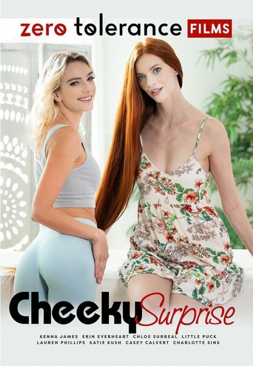 Image Of Cheeky Surprise (Zero Tolerance Films) 2026 WEB-DL 1080p