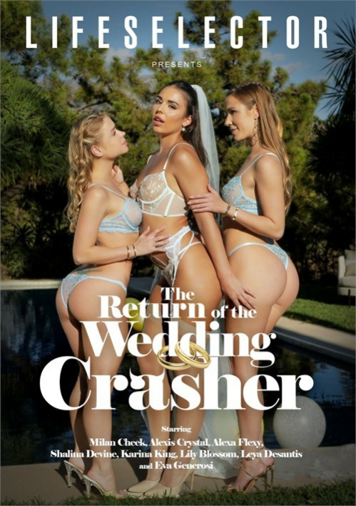 Image Of The Return of The Wedding Crasher [LifeSelector] (2026) HD 720p