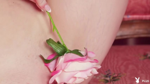 Image Of PlayboyPlus 26 05 22 Lexi Mode In Bloom XXX 480p MP4-XXX [XC]