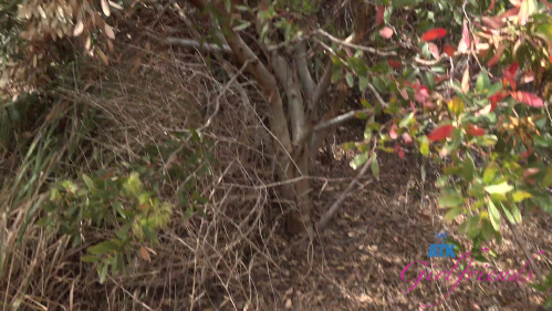 Image Of ATKGirlfriends 26 05 30 Kate Legend Leo Carillo 1 XXX 2160p MP4-WRB [XC]