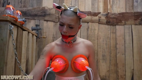 Image Of HuCows 26 07 11 Emily Addams Beyond Expectations XXX 480p MP4-XXX [XC]