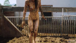 Image of ManureFetisch 26 01 05 Kaitlyn Katsaros Going Crazy In Pigshit XXX 720p MP4-SNiCKERS [XC]